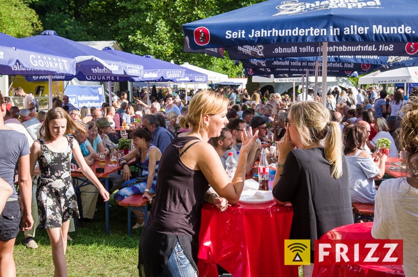 dalbergfest-2017-07-30-1454.jpg