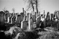 Jüdischer Friedhof Czernowitz