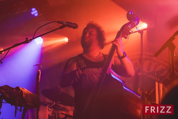 2024-10-08-stevenseagulls-02020.jpg