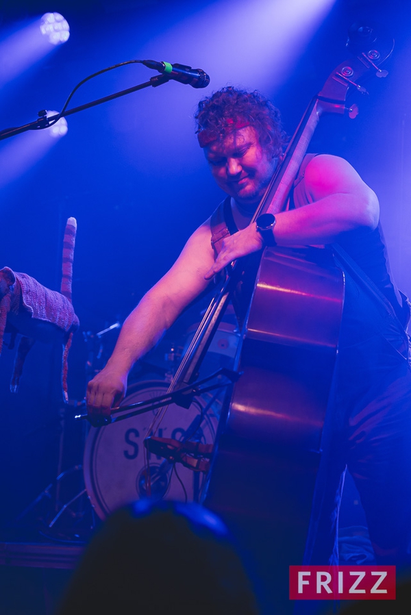 2024-10-08-stevenseagulls-02041.jpg