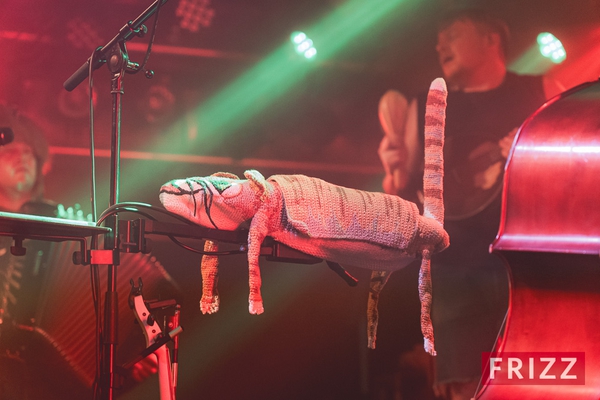 2024-10-08-stevenseagulls-02104.jpg