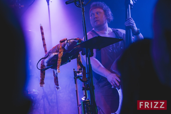 2024-10-08-stevenseagulls-02415.jpg