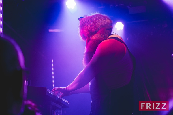 2024-10-08-stevenseagulls-02493.jpg