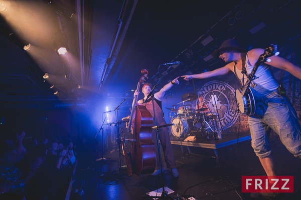 2024-10-08-stevenseagulls-741952.jpg